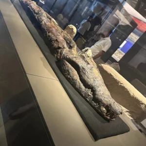 Gran Museo Egipcio