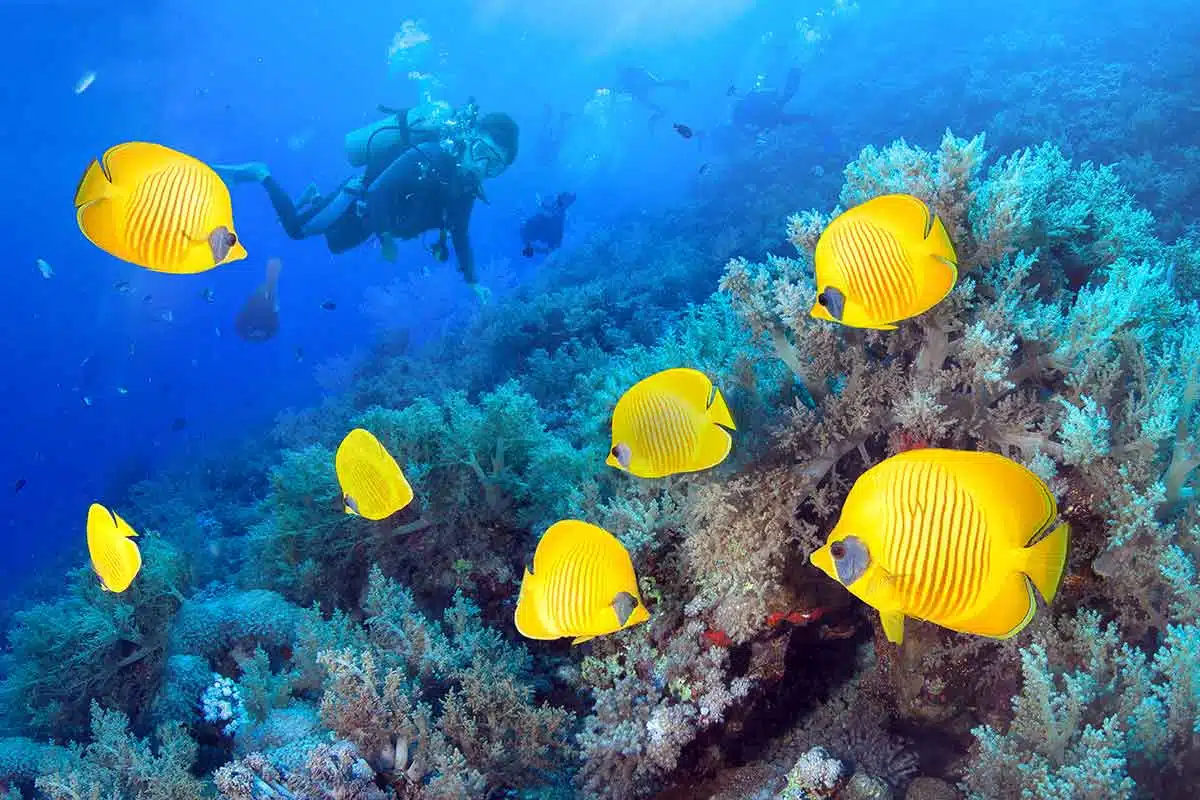 Hurghada Egipto