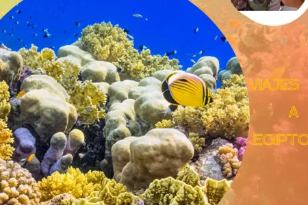 Descubriendo el Paraíso Escondido del Mar Rojo:Marsa Alam